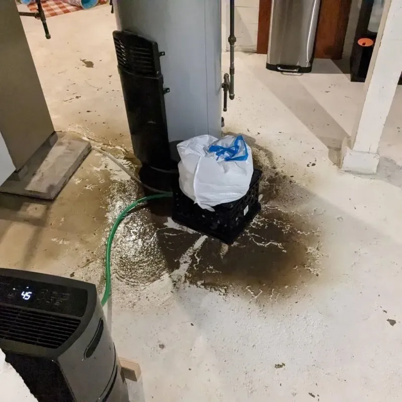 Sewage Backup Cleanup Service in Lyons, GA